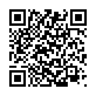 Codice QR che porta alla pagina di download di Rapidin
